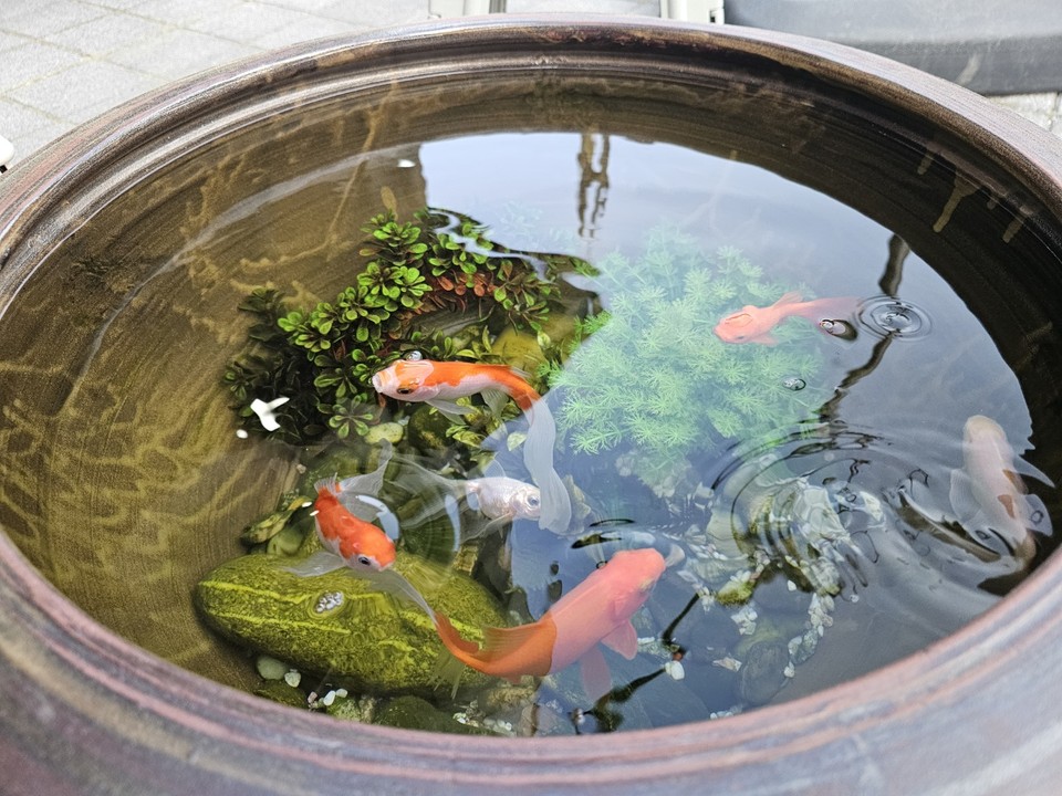 어버이날인 8일 목요일 수도권(경기·인천) 지역은 낮과 밤의 기온차가 크게 벌어지겠고, 대체로 맑다가 저녁부터 차차 흐려지겠다. (사진=중앙신문 DB)