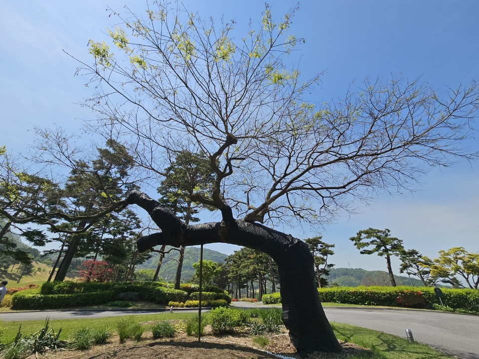 11일 일요일 수도권(경기·인천) 지역은 곳에 따라 아침까지 짙은 안개가 끼겠고, 구름이 많다가 늦은 밤부터 맑아지겠다. (사진=중앙신문 DB)