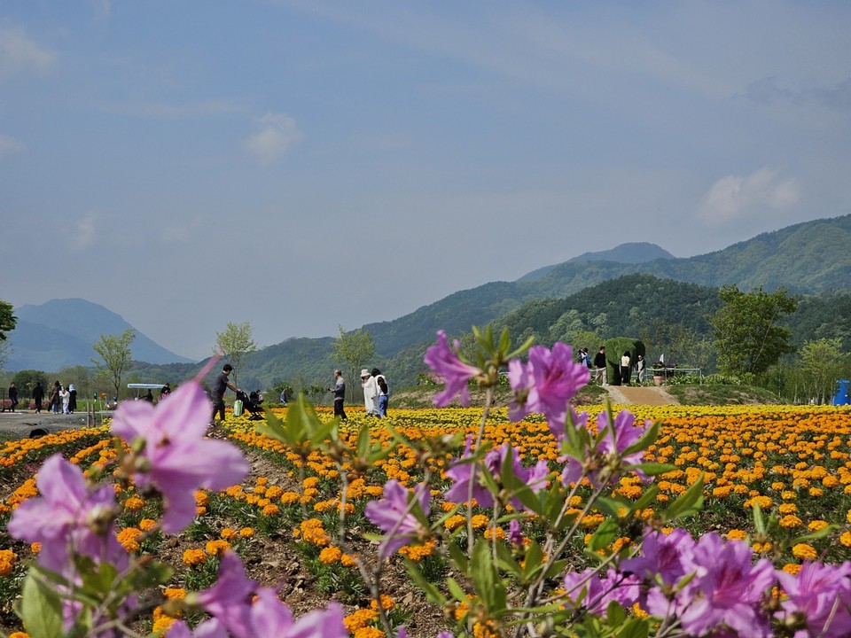 17일 토요일부터 22일 목요일까지 6일 동안 수도권(서울·인천·경기) 지역은 대체로 흐리겠고, 19일 오후에는 비가 내릴 전망이다. 사진은 포천 한탄강 봄 가든 페스타가 열리고 있는 생태 경관단지를 찾은 행락객들이 꽃밭을 지나고 있다. (사진=김성운 기자)