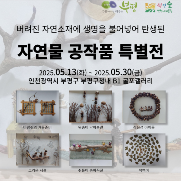 인천나비공원, 부평구청 굴포갤러리에서 특별전 개최