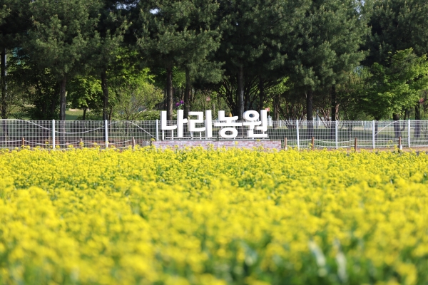 봄꽃 향기 따라 걷는 9일간의 초대…양주 나리농원, 5월 24일 봄 개장