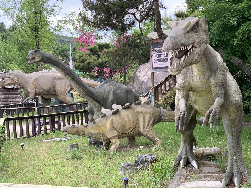 24일 오후 3시50분께 포천시 신북면에 위치한 지중해 풍경의 허브 문화를 테마로 한 국내 최대 규모인 허브관광지 '포천 허브아일랜드'를 사진에 담아봤다. (사진=김성운 기자)