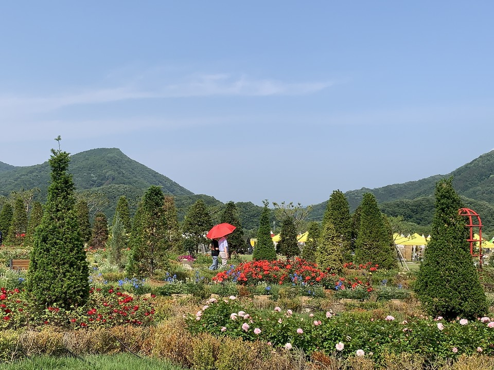 1일 오후 4시15분께 포천 한탄강 생태경관단지에는 아름다운 꽃 정원과 식물 전시, 원예 체험, 플리마켓, 푸드트럭 등 볼거리와 먹거리, 즐길 거리가 가득했다. 특히 유명세를 타고 있는 한탄강 Y자형 출렁다리가 있는 포천 한탄강 가든페스타 현장을 사진에 담았다. (사진=김성운 기자)