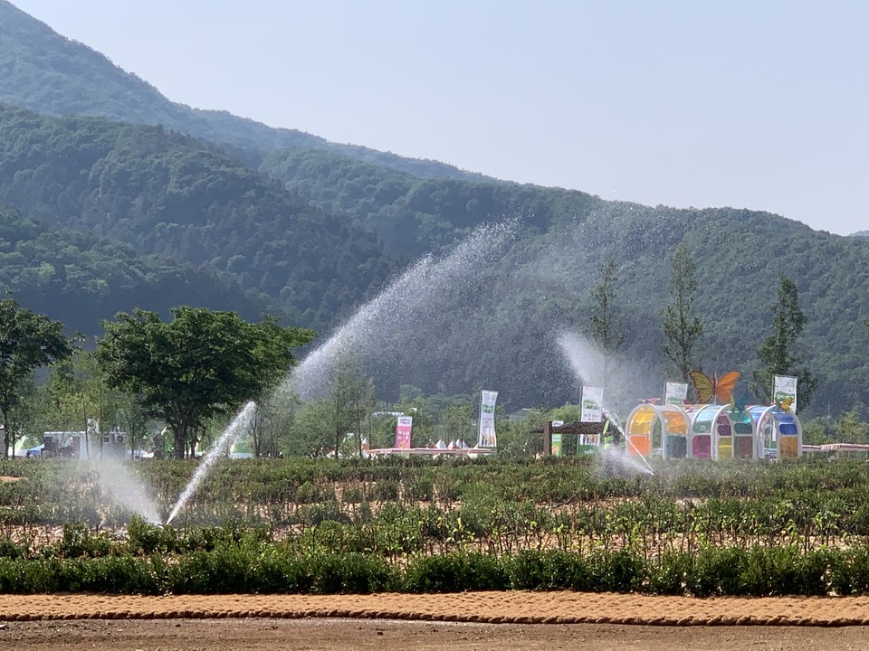 1일 오후 4시15분께 포천 한탄강 생태경관단지에는 아름다운 꽃 정원과 식물 전시, 원예 체험, 플리마켓, 푸드트럭 등 볼거리와 먹거리, 즐길 거리가 가득했다. 특히 유명세를 타고 있는 한탄강 Y자형 출렁다리가 있는 포천 한탄강 가든페스타 현장을 사진에 담았다. (사진=김성운 기자)