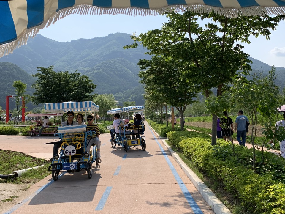 1일 오후 4시15분께 포천 한탄강 생태경관단지에는 아름다운 꽃 정원과 식물 전시, 원예 체험, 플리마켓, 푸드트럭 등 볼거리와 먹거리, 즐길 거리가 가득했다. 특히 유명세를 타고 있는 한탄강 Y자형 출렁다리가 있는 포천 한탄강 가든페스타 현장을 사진에 담았다. (사진=김성운 기자)