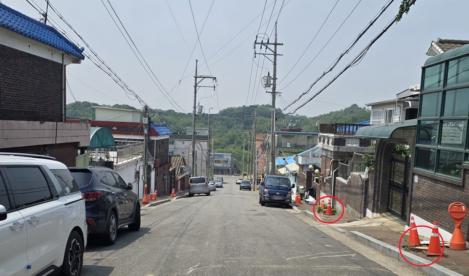 평택시가 보행환경 개선을 이유로 45년 된 은행나무 26그루를 무단으로 제거해 시민들의 비판을 받고 있다. (사진=김종대 기자)