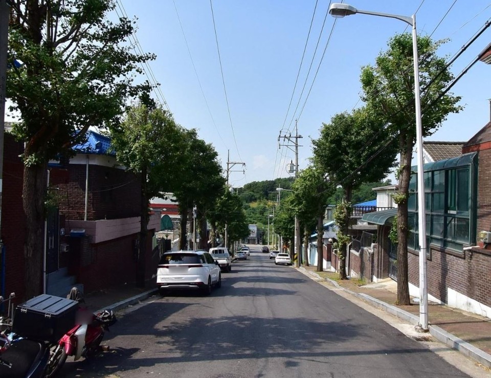 평택시가 보행환경 개선을 이유로 45년 된 은행나무 26그루를 무단으로 제거해 시민들의 비판을 받고 있다. (사진=김종대 기자)