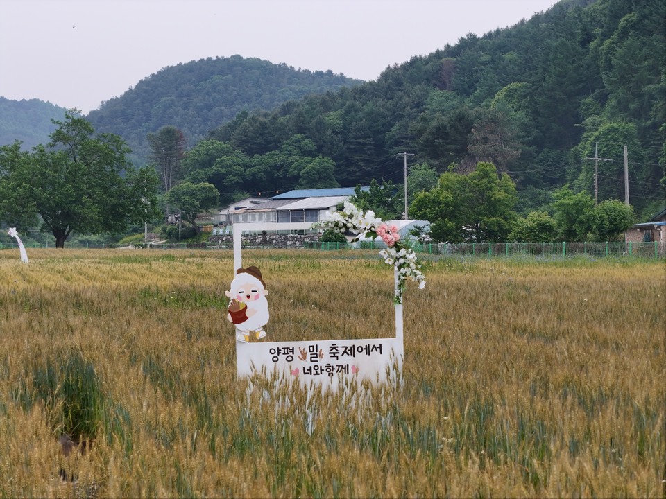 5일 목요일 수도권(경기·인천) 지역은 낮 기온이 올라 덥겠고, 대체로 맑겠다. (사진=중앙신문 DB)