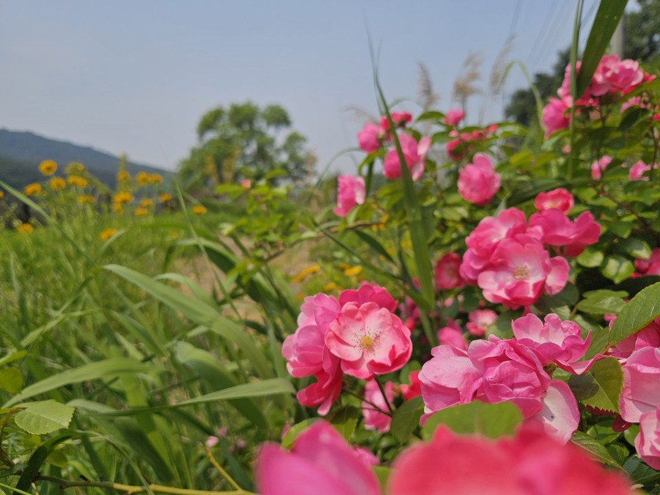 현충일인 6일 금요일 수도권(경기·인천) 지역은 바람이 강하게 불겠고, 대체로 맑겠으나 오전에 가끔 구름이 많겠다. (사진=중앙신문 DB)