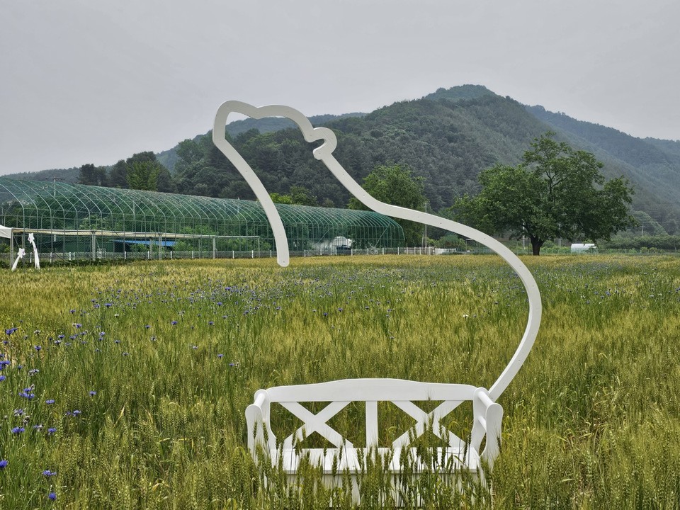 9일 월요일 수도권(경기·인천) 지역은 오전까지 곳에 따라 짙은 안개가 끼겠고, 대체로 흐리다가 낮부터 맑아지겠다. (사진=중앙신문 DB)