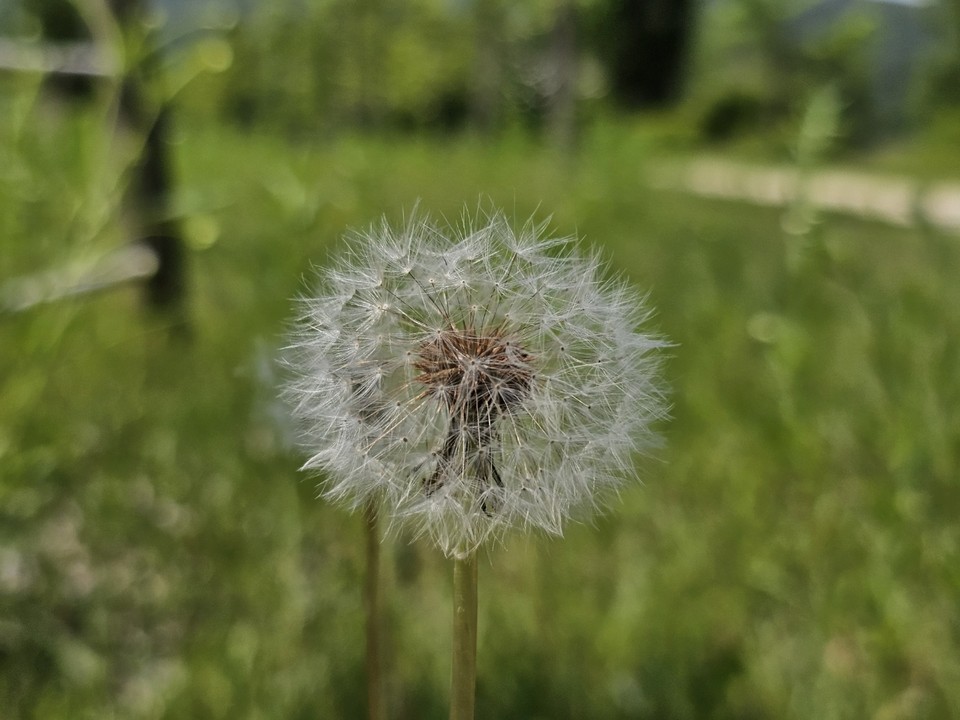 16일 월요일 수도권(경기·인천) 지역은 대체로 흐리고, 늦은 오후까지 지역에 따라 가끔 비가 내리겠다. (사진=중앙신문 DB)