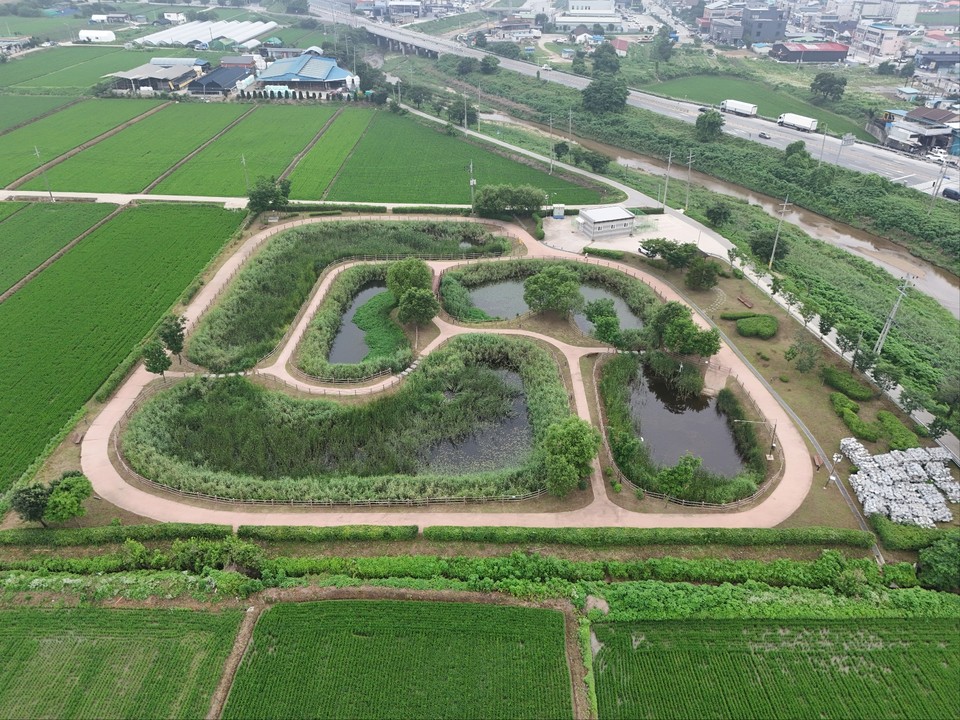 28일 오전 9시46분께 찾은 안성시 죽산면 장원리 인공습지. 죽산천을 따라 걷다 보면 붉은색의 길과 초록 풀숲이 어우러진 이색 풍경이 나타난다. (사진=김종대 기자)