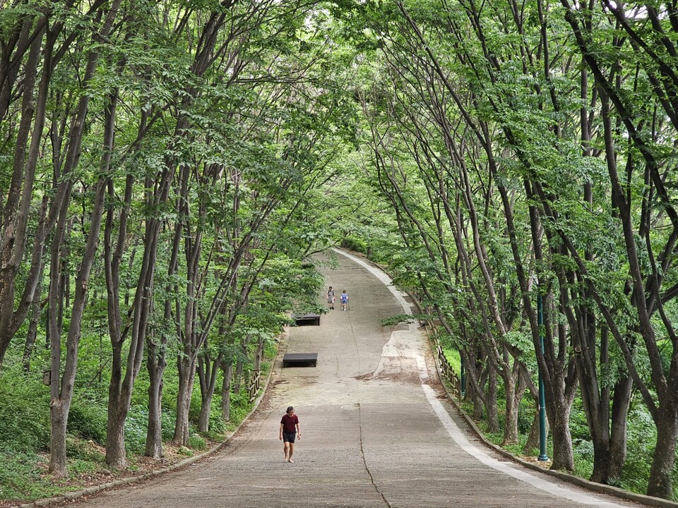 7일 월요일 수도권(경기·인천) 지역은 아침까지는 일부 지역에 약한 비나 빗방울이 떨어지는 곳이 있겠으며, 이후로는 대체로 흐린 날씨가 이어지겠다. (사진=중앙신문 DB)
