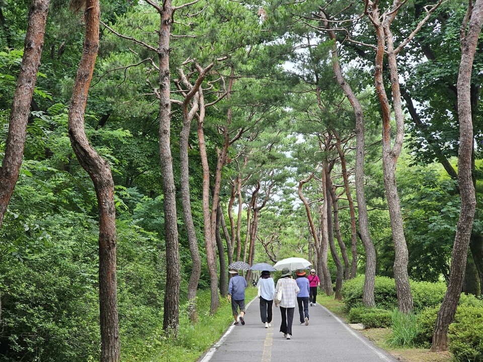 8일 화요일 수도권지역(경기·인천)은 전날보다 한낮 기온이 더 오르면서 가마솥더위가 이어지겠다. 기상청은 한낮 기온이 37도까지 오르겠다고 내다봤다. 사진은 오산 물향기수목원. (사진=중앙신문DB)