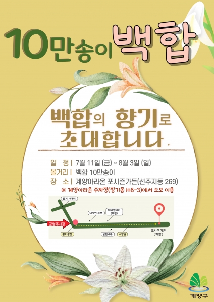 계양아라온 포시즌가든, ‘10만 송이 백합’의 향연 속으로 초대한다