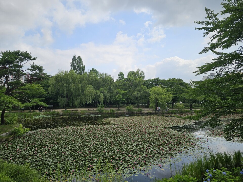 9일 수요일 수도권(경기·인천) 지역은 가끔 구름이 많겠으며, 늦은 오후에 인천과 경기서해안을 중심으로 소나기가 내리는 곳이 있겠다. (사진=중앙신문 DB)