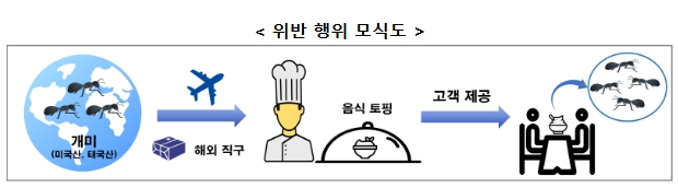 식품 원료로 허용되지 않은 곤충 ‘개미’를 음식에 사용해 1억2천만원 상당을 판매한 음식점이 적발됐다. (사진제공=식약처)