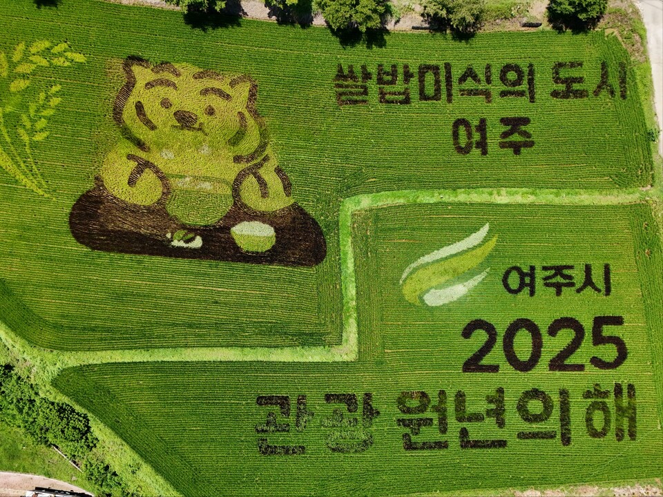 찜통더위가 이어지는 11일 오전 11시 40분께 여주시 세종대왕면 왕대리 논에 조성된 대형 '논 그림(벼 아트)'이 지역의 정체성과 관광 비전을 동시에 드러내고 있다. (사진=김광섭 기자)
