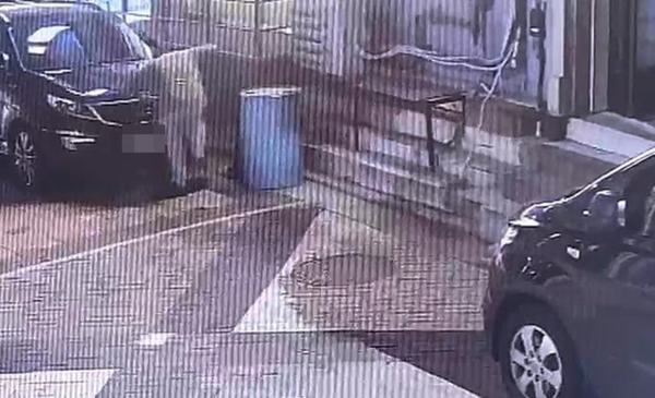 길고양이를 학대한 20대 남성이 검거됐다. (사진제공=동물보호단체)