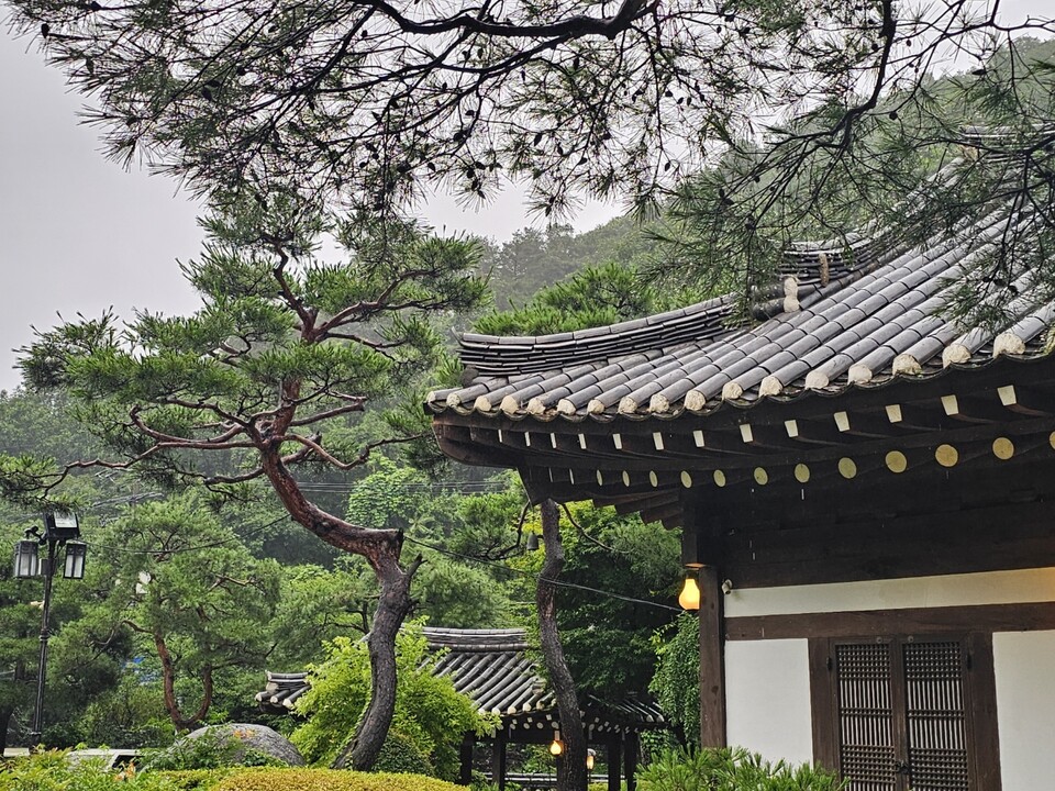 초복(初伏)인 20일 일요일 수도권지역(경기·인천)은 대체로 흐리고 아침까지 가끔 비가 내리겠다. 곳에 따라 돌풍과 천둥, 번개를 동반한 강하고 많은 비가 내리는 곳도 있어 각별히 유의해야 한다. (사진=오기춘 기자)