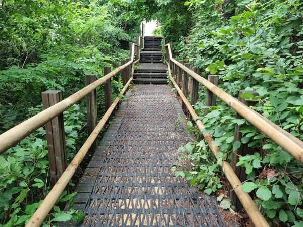  인천 남동구가 오봉산·소래산·만월산 등 주요 등산로의 노후 시설물 정비를 완료했다. (사진제공=남동구)