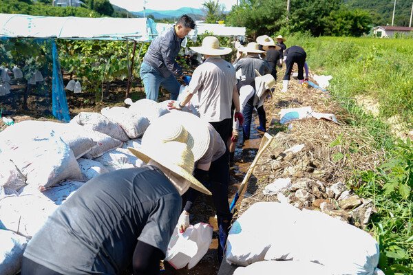 포천시의회가 5일 최근 집중호우로 큰 피해를 입은 내촌면 마명리 일원에서 수해 복구 봉사활동을 펼쳤다. (사진제공=포천시의회)