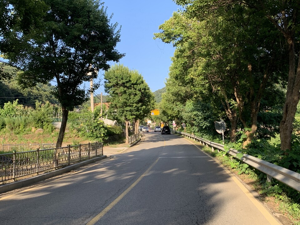 절기상 가을의 문턱을 일컫는 입추(立秋)인 7일 오후 5시55분께 동두천 탑동초등학교 앞 가로수길 그늘 아래는 무더위가 지나가듯 가을이 다가왔음을 느끼게 하고 있다. (사진=오기춘 기자)