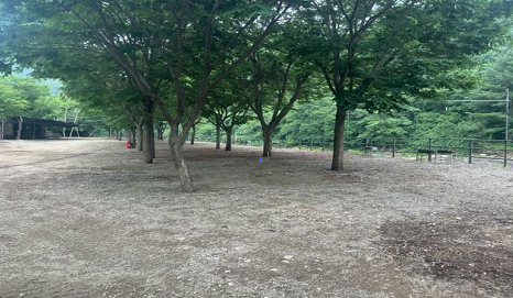 경기도가 여름 휴가철을 맞아 계곡이나 하천에서의 불법행위 재발 방지를 위해 8월까지 ‘도-시군 합동 집중점검반’을 운영한다. 사진은 연천 아미천 조치 후. (사진제공=경기도)
