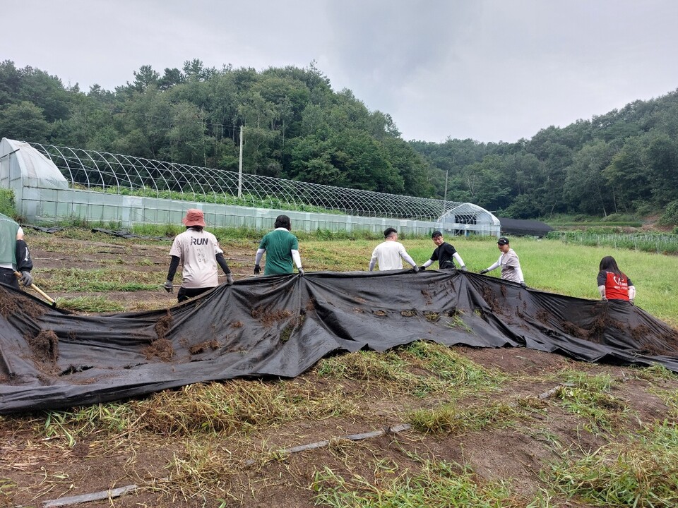 9일 오전 포천시 신북면 삼성당리 한 농가가 이른 시간부터 활기를 띠었다. 본격적인 영농철을 맞아 인력난에 시달리던 현장에 ‘행복드림 농촌봉사단’이 찾아와 잡초를 뽑고 농작물을 나르며 구슬땀을 흘렸다. (사진제공=포천시