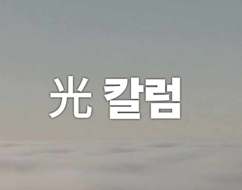 [光칼럼] 흰색, 민족의 기억에서 대통령의 넥타이까지.