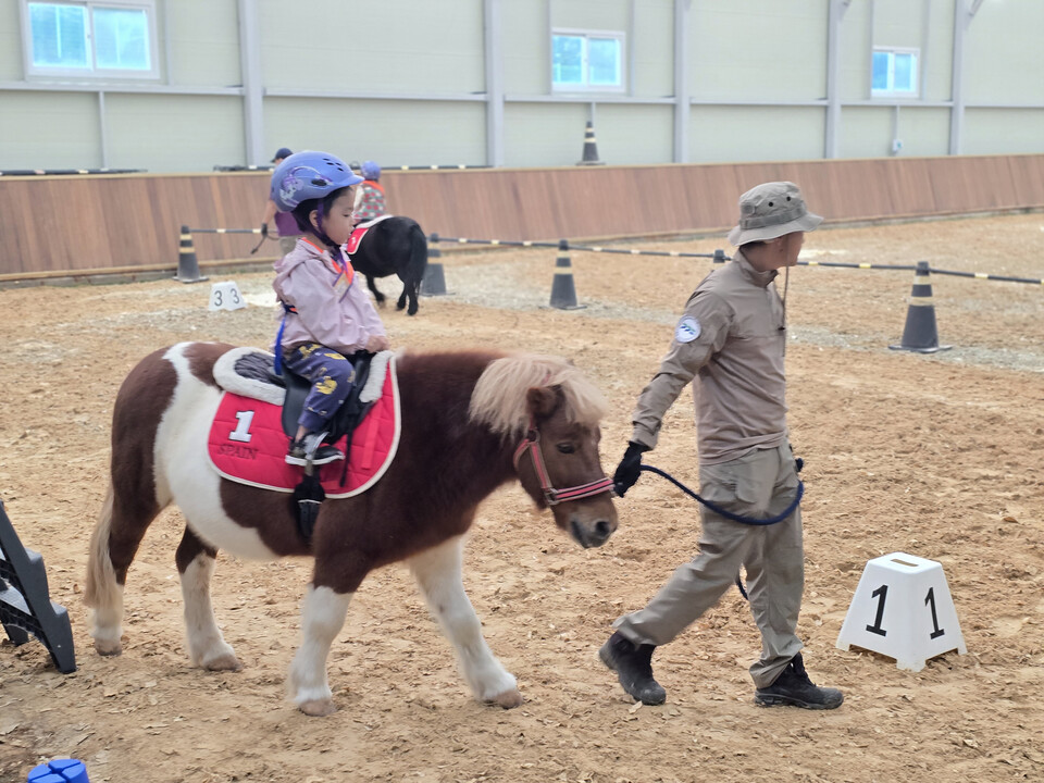 경기도가 내달부터 11월까지 도내 어린이집 및 유치원을 대상으로 ‘경기도 어린이 말 체험’을 전액 무료로 진행한다. (사진제공=경기도)