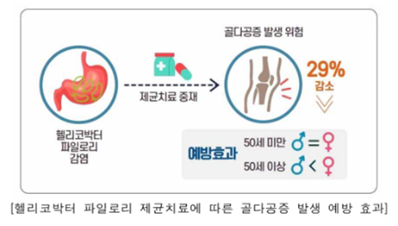 국내 장기 연구에서 헬리코박터 파일로리 제균 치료가 골다공증 예방에 효과가 있다는 결과가 나왔다. (사진제공=질병청)