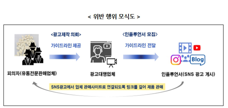 일반식품을 비만치료제·식욕억제제처럼 불법 광고해 판 업체들이 식약처에 무더기 적발됐다. 사진은 (사진제공=식약처)