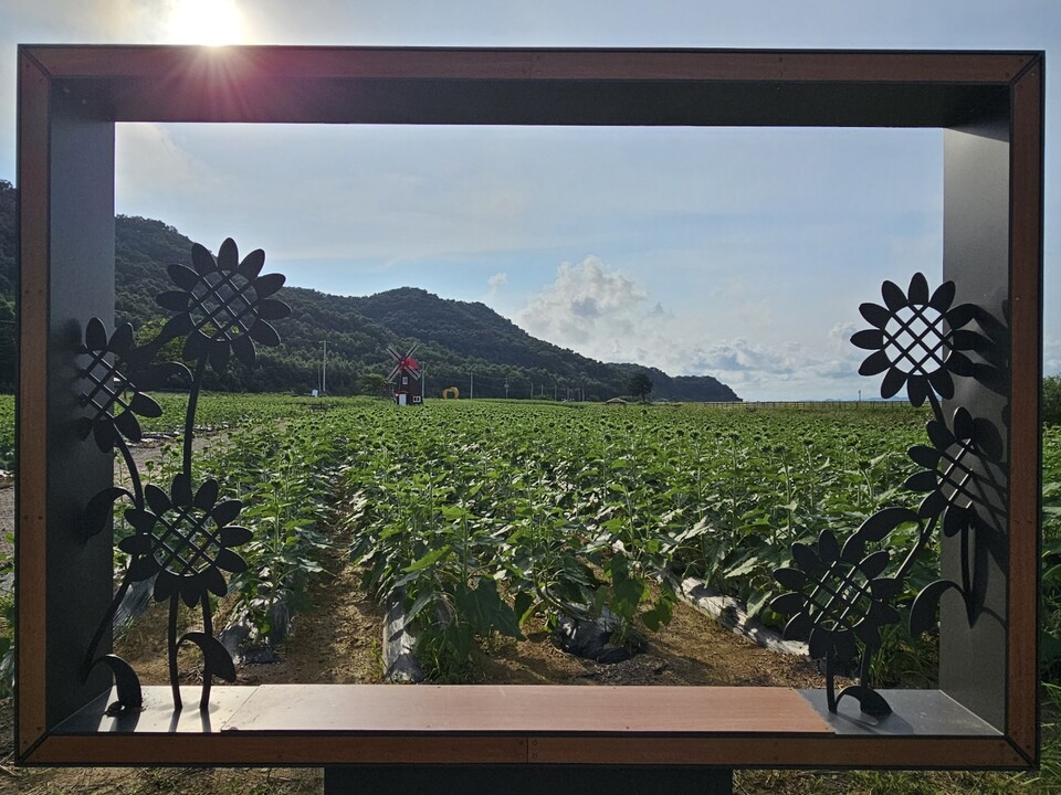 ​​​​​​​22일 금요일 수도권(경기·인천) 지역은 대체로 맑다가 가끔 구름이 많겠다. 낮 기온은 33도 까지 올라 무덥겠다. (사진=중앙신문 DB)