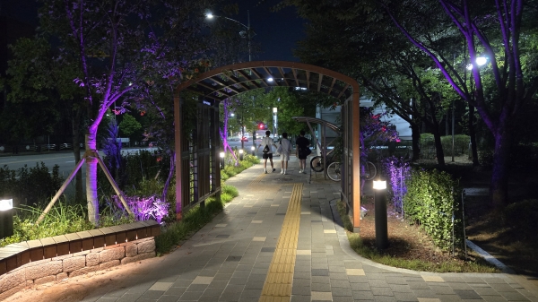 남동구, 폭염 속 가로수 터널 효과 ‘톡톡’