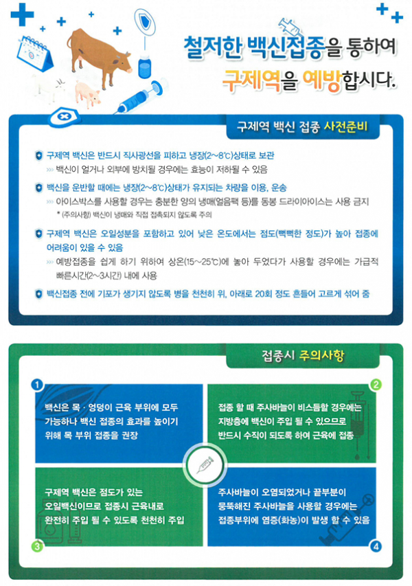 인천시, 9월 한 달간 소·염소 구제역 백신 일제접종