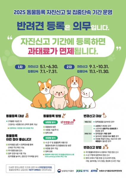 의정부시, 2025년 동물등록 자진신고 기간 운영