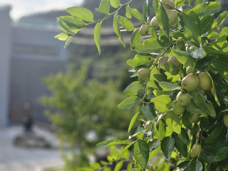 7​​​​​일 일요일 수도권(경기·인천) 지역은 종일 대체로 흐리겠으며, 경기남서부에는 오전까지 한때 비가 내리겠다. (사진=중앙신문 DB)