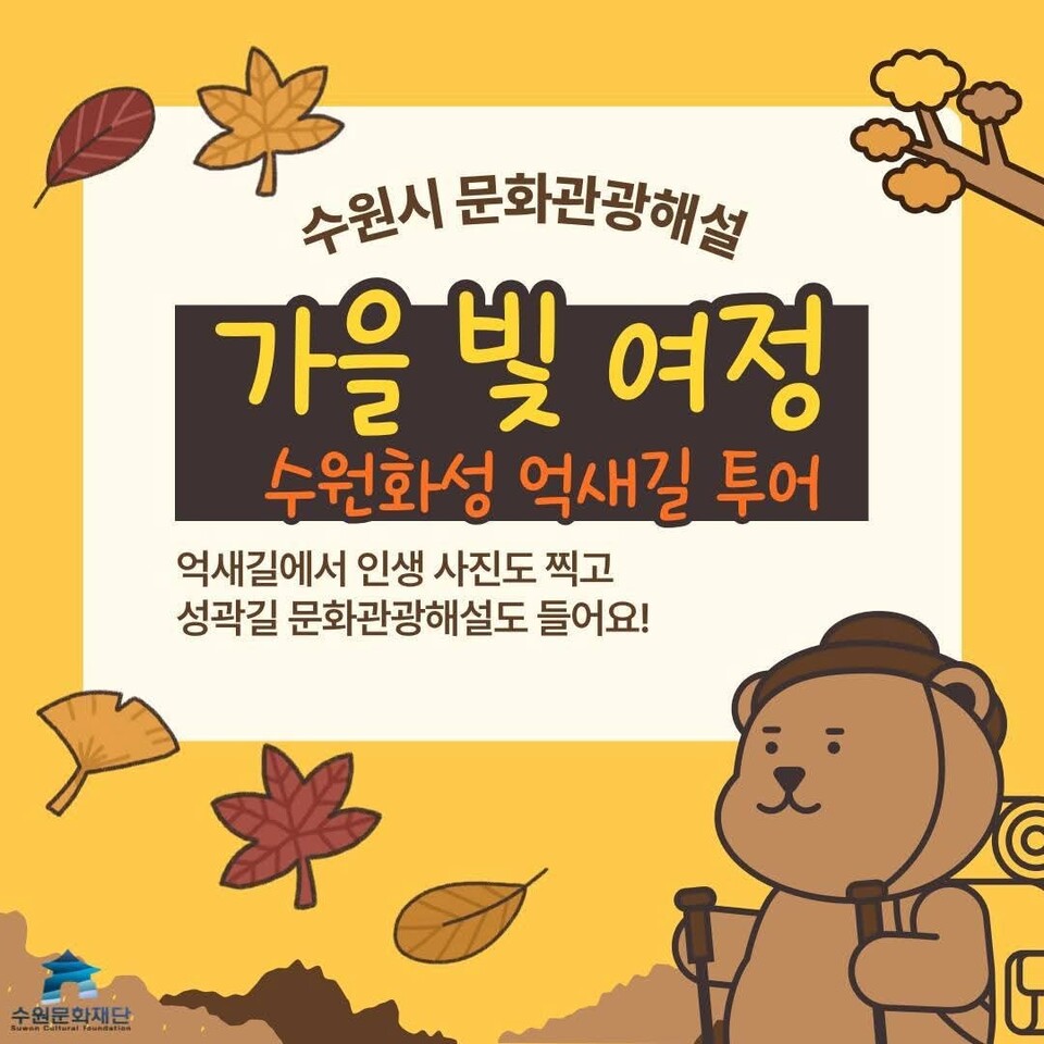 수원문화재단이 가을 정취를 만끽할 수 있는 ‘가을빛 여정-수원화성 억새길 투어’를 오는 10월 매주 토·일요일 운영한다. (사진제공=수원문화재단)