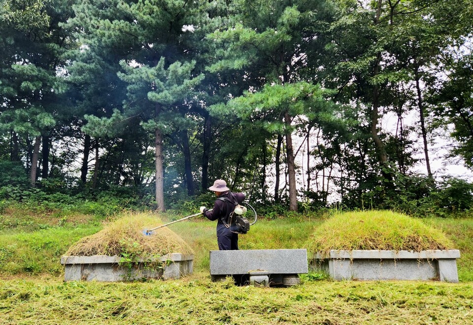14일 오전 9시10분께 여주시 강천면 적금리의 한 야산에 위치한 산소에서 추석을 앞두고 벌초가 한창이다. (사진=김광섭 기자)