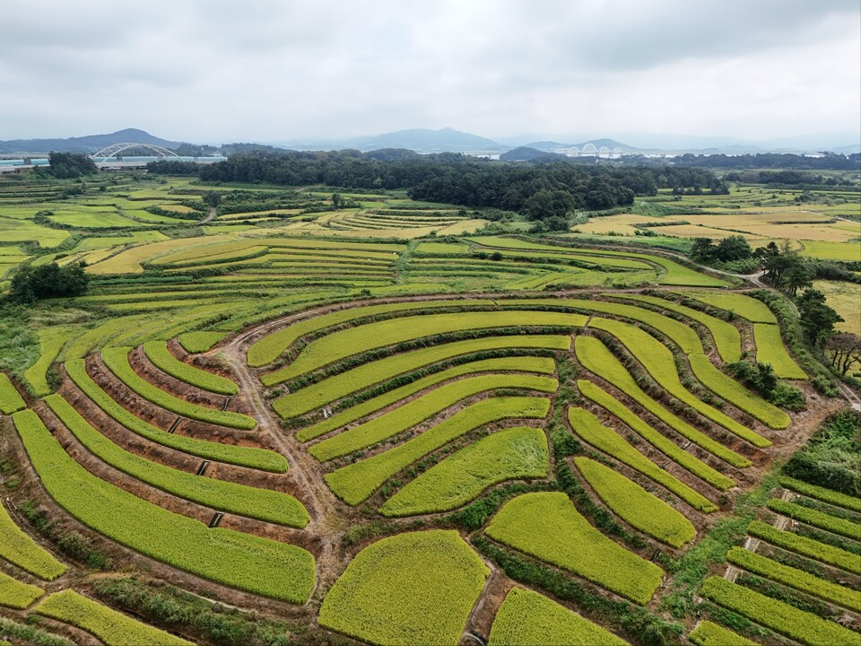​​​​​​​16일 화요일 수도권(경기·인천) 지역은 대체로 흐리겠으며, 오전부터 저녁 사이 곳곳에 소나기가 내린 뒤 늦은 밤부터는 비가 이어지겠다. (사진=중앙신문 DB)