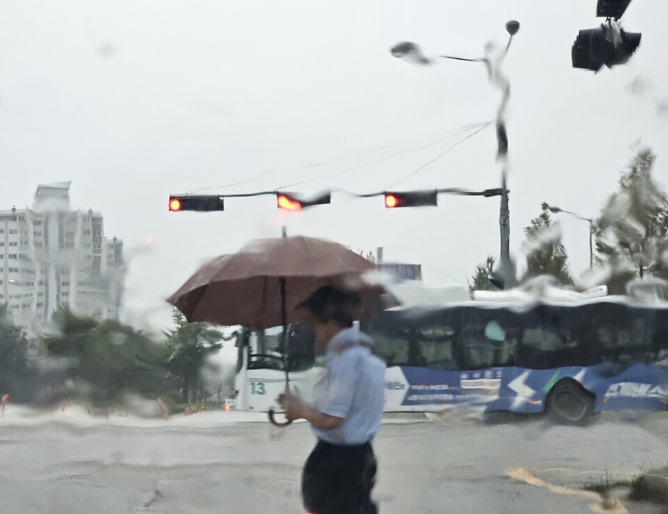 16일 오후 1시50분께 비가 내리는 수원시 권선구의 한 사거리에서 우산을 든 시민이 강한 바람과 비를 피해  횡단보도를 건너고 있다. (사진=순정우)