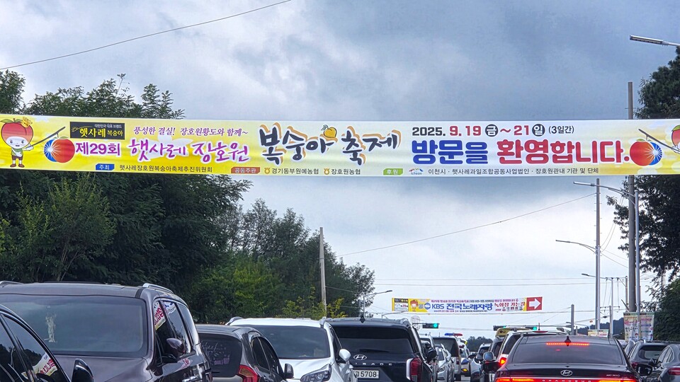 이천시가 자랑하는 황도 복숭아의 향연이 성황리에 막을 내렸다. 이천시는 지난 19일부터 21일까지 3일간 장호원 햇사레 농산물 산지유통센터 일원에서 ‘제29회 햇사레 장호원복숭아축제’를 열었다. (사진=송석원 기자)