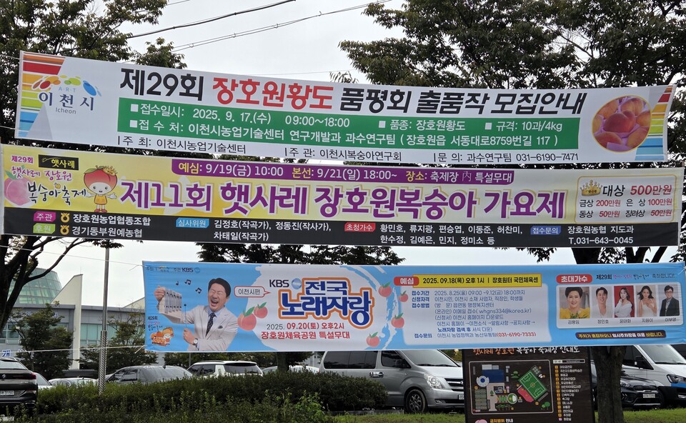 이천시가 자랑하는 황도 복숭아의 향연이 성황리에 막을 내렸다. 이천시는 지난 19일부터 21일까지 3일간 장호원 햇사레 농산물 산지유통센터 일원에서 ‘제29회 햇사레 장호원복숭아축제’를 열었다. (사진=송석원 기자)