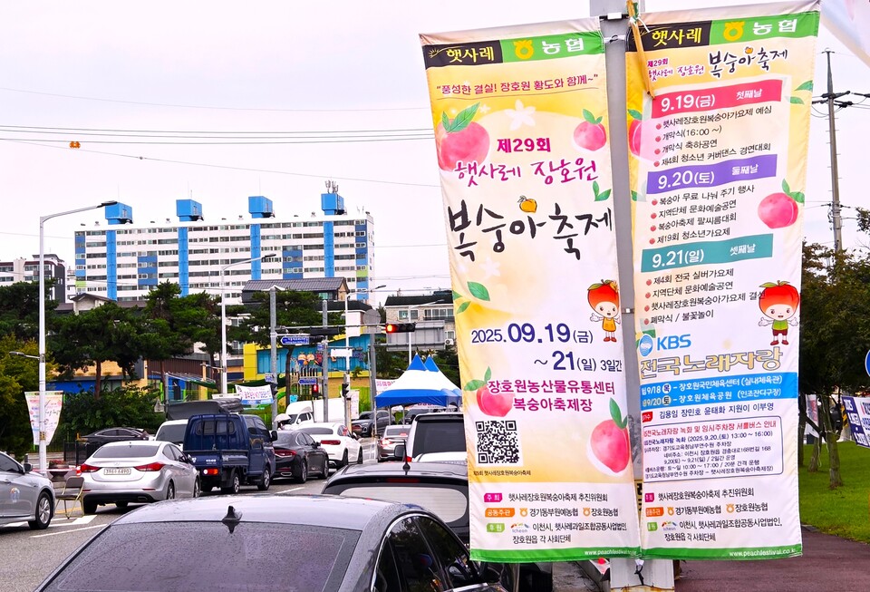 이천시가 자랑하는 황도 복숭아의 향연이 성황리에 막을 내렸다. 이천시는 지난 19일부터 21일까지 3일간 장호원 햇사레 농산물 산지유통센터 일원에서 ‘제29회 햇사레 장호원복숭아축제’를 열었다. (사진=송석원 기자)