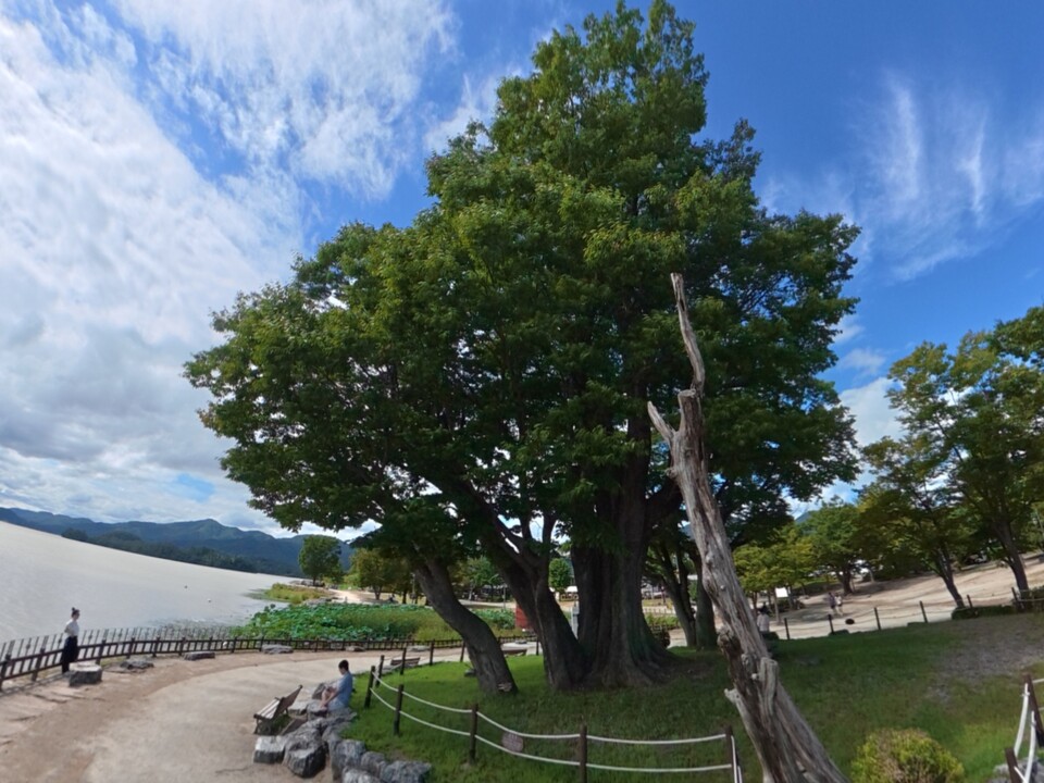 29일 월요일 수도권(경기·인천) 지역은 아침부터 차차 맑아지겠으며, 경기내륙에는 안개가 끼겠다. (사진=중앙신문 DB)