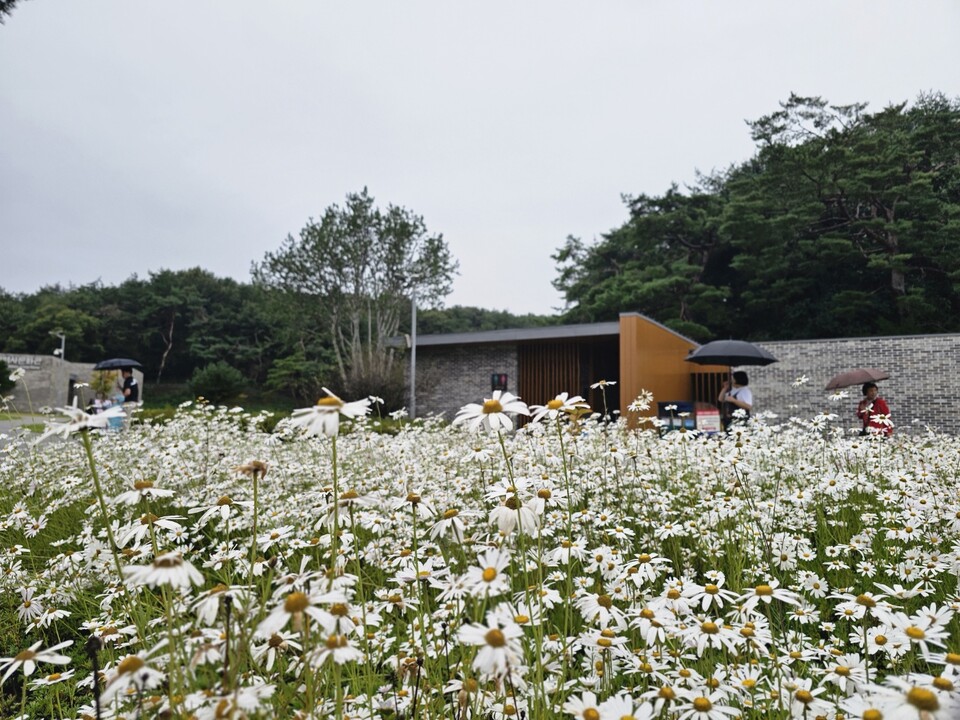 추석 다음 날인 7일 화요일 수도권(경기·인천) 지역은 흐리겠으며, 가끔 비가 내리겠다. (사진=중앙신문 DB)