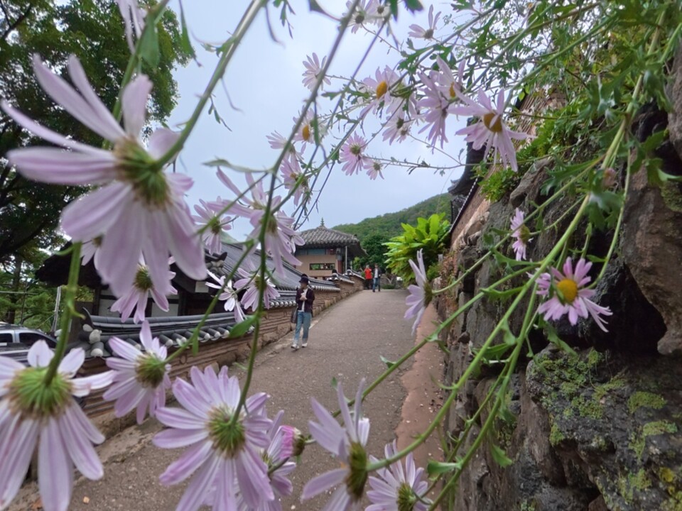 ​​​​​​​15일 수요일 수도권(경기·인천) 지역은 흐린 가운데 오후부터 빗방울이 떨어지겠고, 밤에는 비가 내리겠다. (사진=중앙신문 DB)
