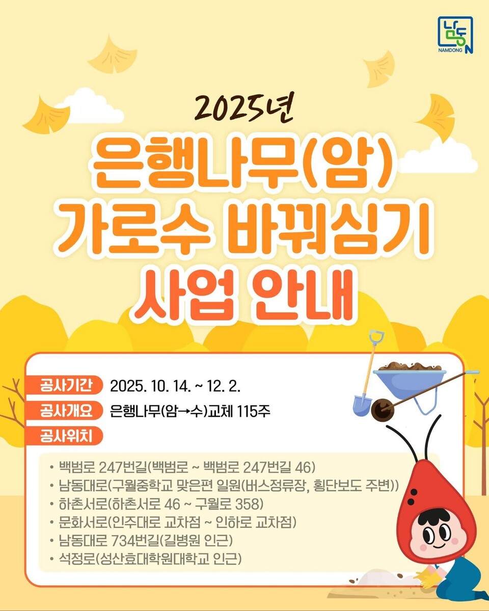 인천 남동구가 열매를 맺는 은행나무 암나무를 열매가 맺히지 않는 수나무로 교체하는 가로수 정비 사업을 추진한다. (사진=남동구청 SNS