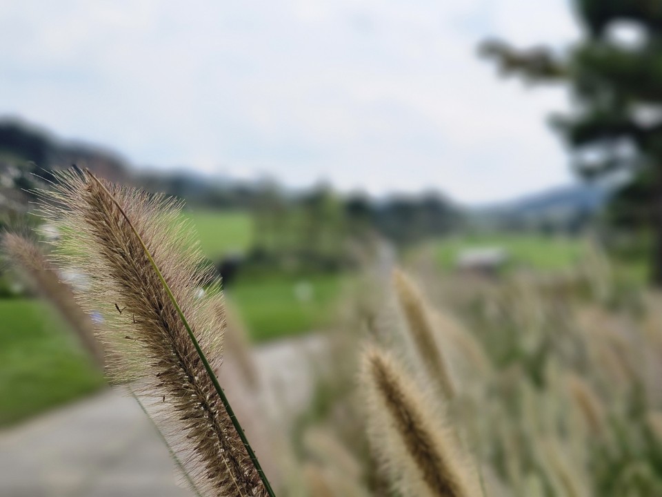 ​​​​​​​19일 토요일 경기·인천지역은 아침까지 비가 내리는 곳이 있겠고, 대체로 흐리고 낮부터 기온이 낮아 쌀쌀하겠다.(사진=중앙신문DB)